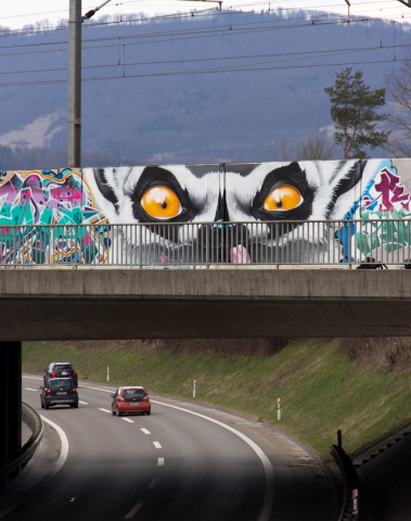 Lemur aarau graffiti malik eyes
